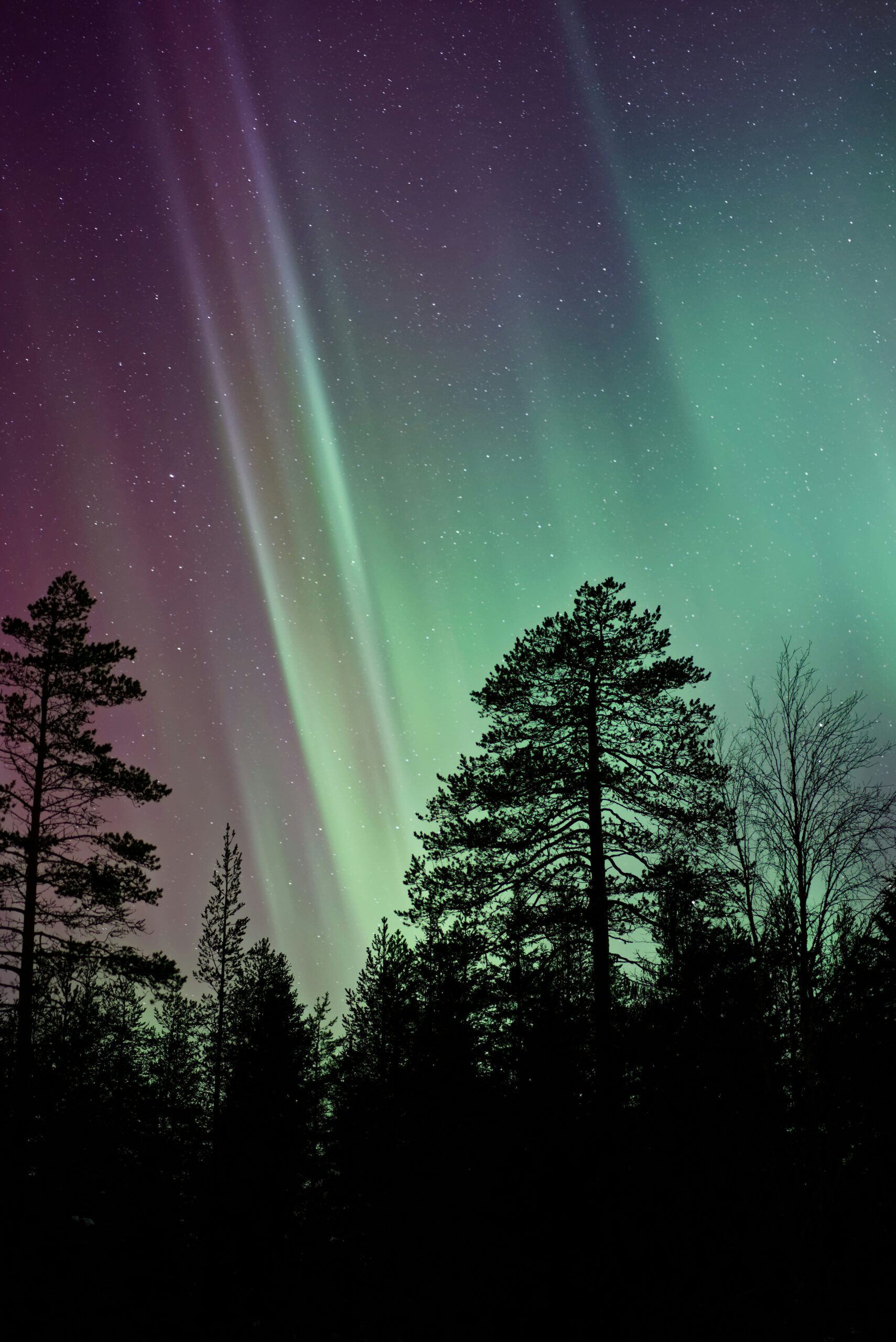 Propose Under the Northern Lights at the Hill Hotel: The Most Magical “Yes” You’ll Ever Hear