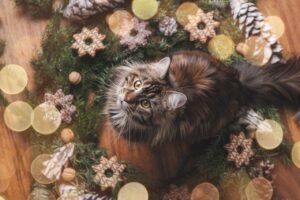 The Christmas Cat folklore in Iceland