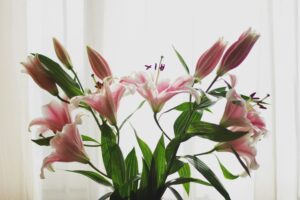 A vase of lillies