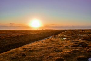 A sunny day in summer in Iceland